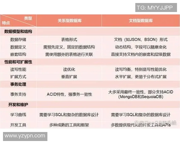 英雄联盟V5战队意识解析与战术运用的深度探讨